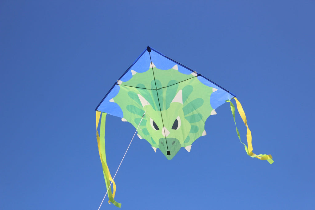 High as a Kite - Triceratops Kite