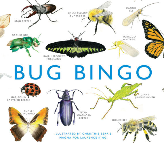 Brumby - Bingo - Bug