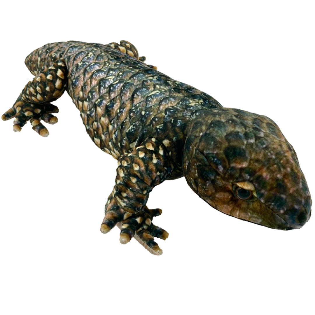 Huggable - Bobbie Bobtail
