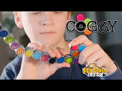 Fat Brain - Coggy