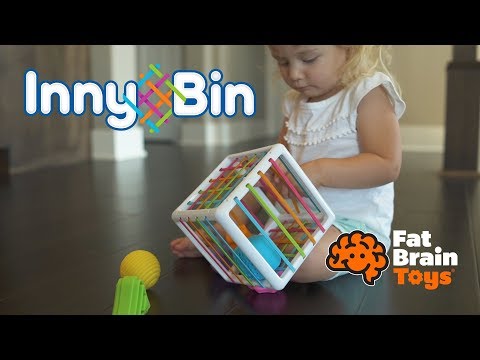 Fat Brain - Inny Bin